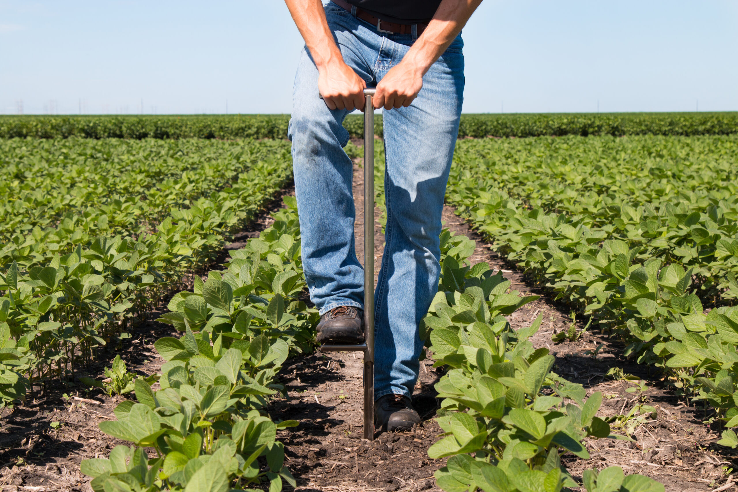 Dig Deeper: 5 Reasons to Make Soil Testing a Priority