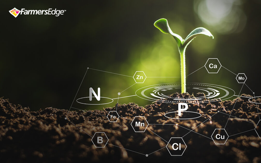 Revolutionizing Nutrient Management with Virtual Soil Testing (VST)